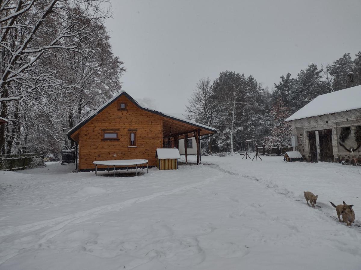 Kolorowe Wzgorze Agroturystyka I Konie Trojanow Exterior photo